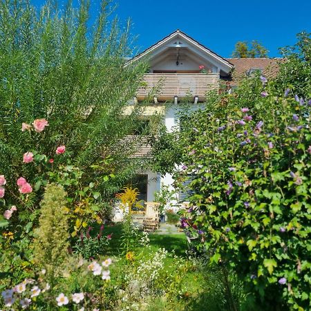 Traumhafte Gartenwohnung in Überlinger Hanglage - Zur goldenen Kiwi Uberlingen Exterior foto