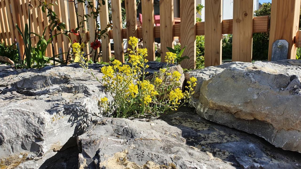 Traumhafte Gartenwohnung in Überlinger Hanglage - Zur goldenen Kiwi Uberlingen Exterior foto