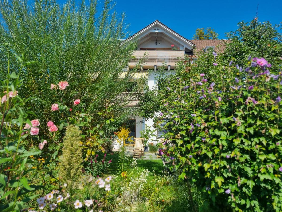 Traumhafte Gartenwohnung in Überlinger Hanglage - Zur goldenen Kiwi Uberlingen Exterior foto